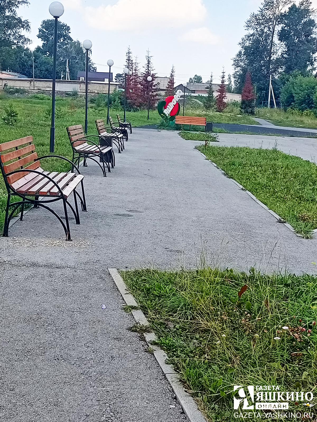 В парке появились новые скамейки и урны по программе благоустройства. | Ольга Гиря