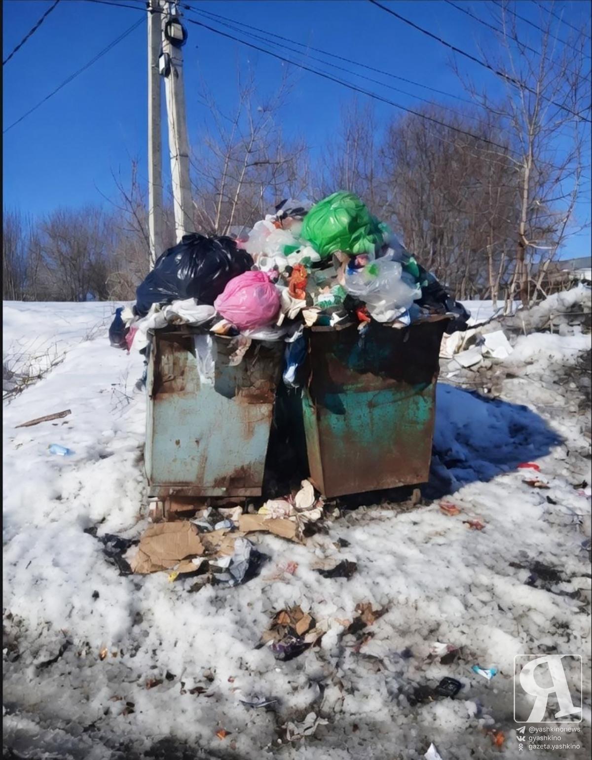 Собака и мусор на Юбилейной 1
