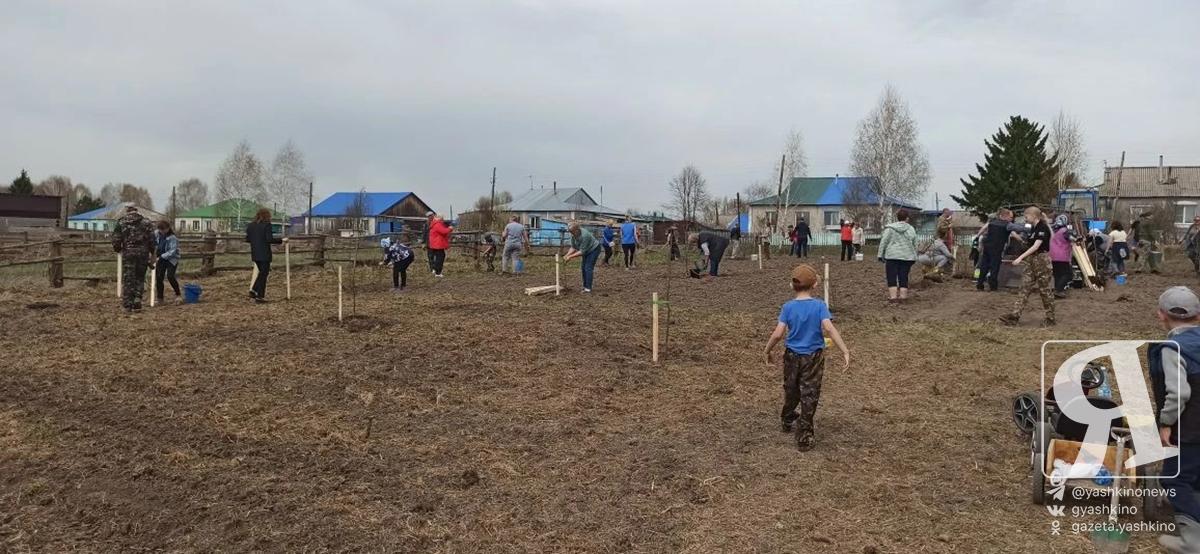 Акция Белый сад 02052026 2