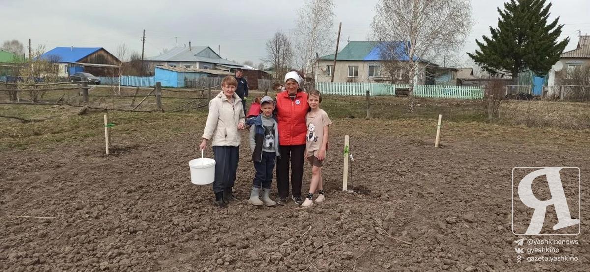 В Дубровке стартовала акция «Белый сад»