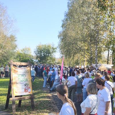 Pacinskaa Tykva 2026 Kustova 190