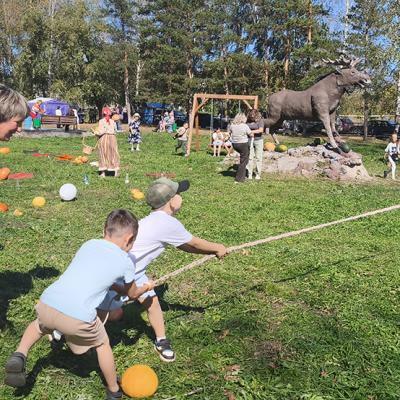 Pacinskaa Tykva 2026 Kustova 96