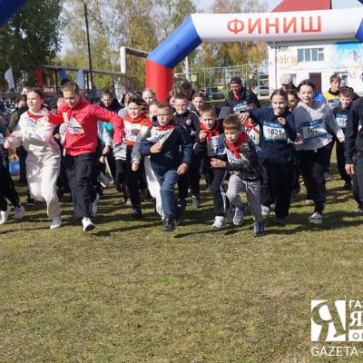 Кросс нации 2026